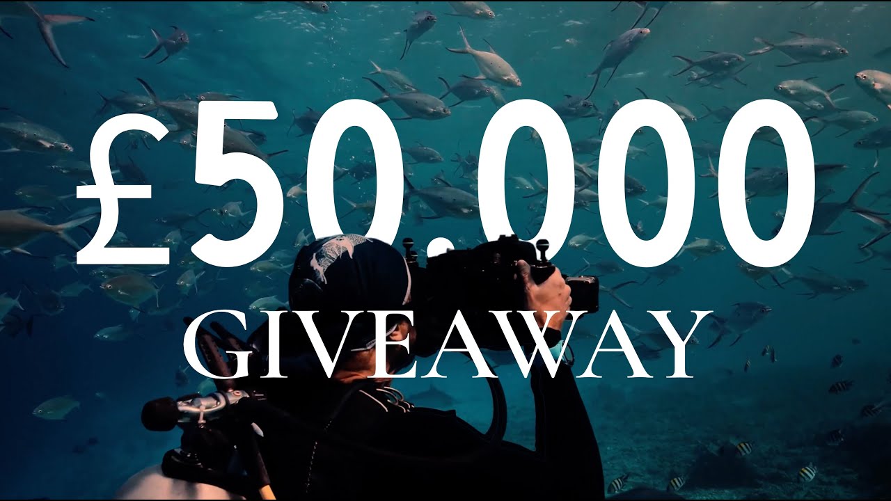 How storytellers can help save the ocean