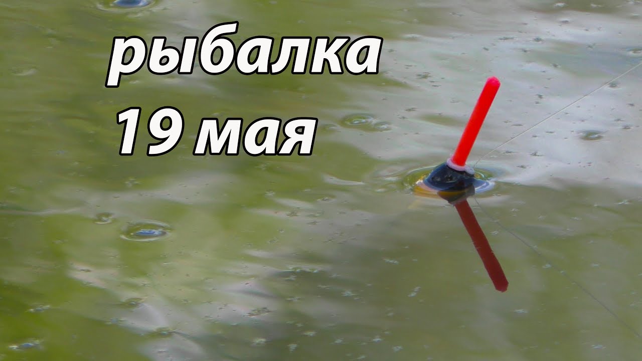 ЗАБЫЛ НАЖИВКУ  и начался  СУПЕР жор .Рыбалка в мае 2022