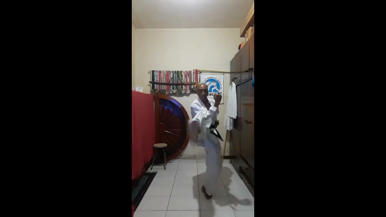 Kihon 6 - Shorin-Ryu Shinshukan adaptado