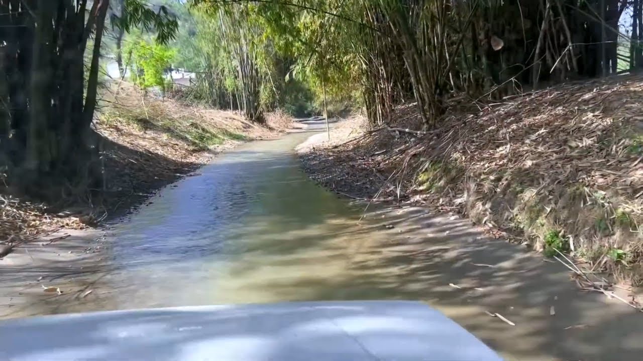 Kukanet Forest 🌳| Hidden Gem Of Punjab | Don&rsquo;t Come With Family | Very Dangerous