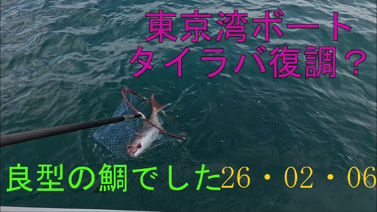 20260206東京湾ボートタイラバ　復調気配