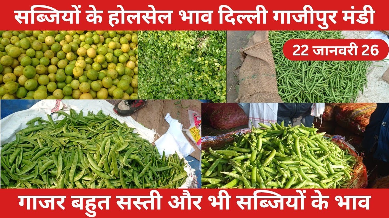 🥕 Gajar ₹? Matar ₹? Ghazipur Mandi mein SABSE SASTA din! (22 Jan 2026)