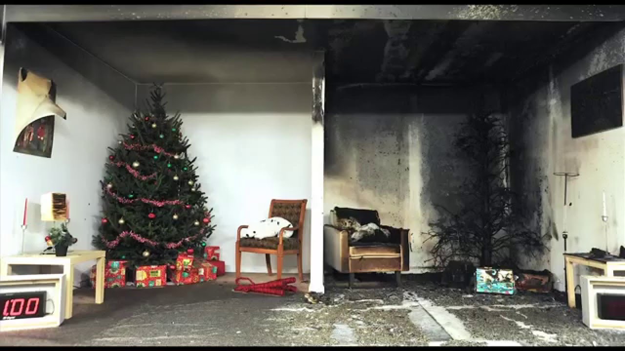 Candle and Tree Fire Lab Footage