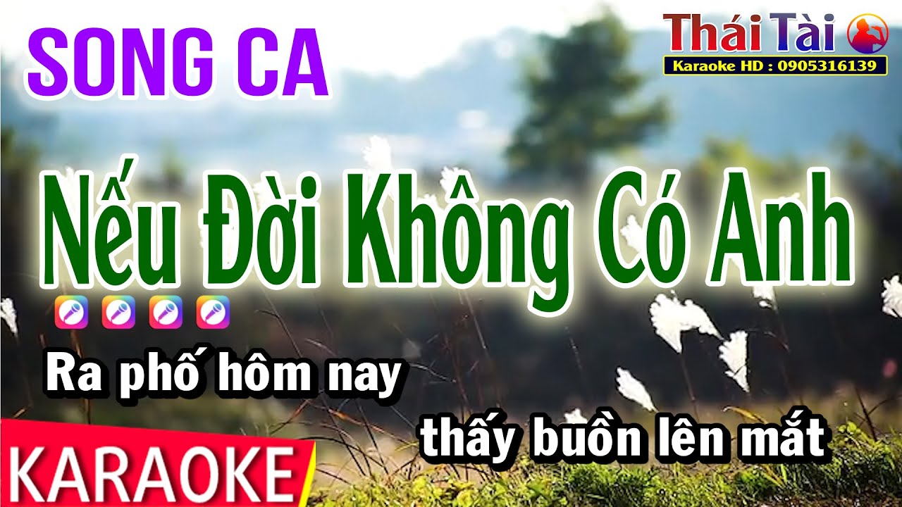 Karaoke Nếu Đời Không Có Anh Song Ca - Thái Tài