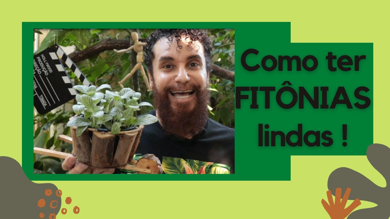 Dicas de como cuidar, replantar e fazer mudas da FITÔNIA. Esta PLANTA-MOSAICO, tem uns segredinhos.