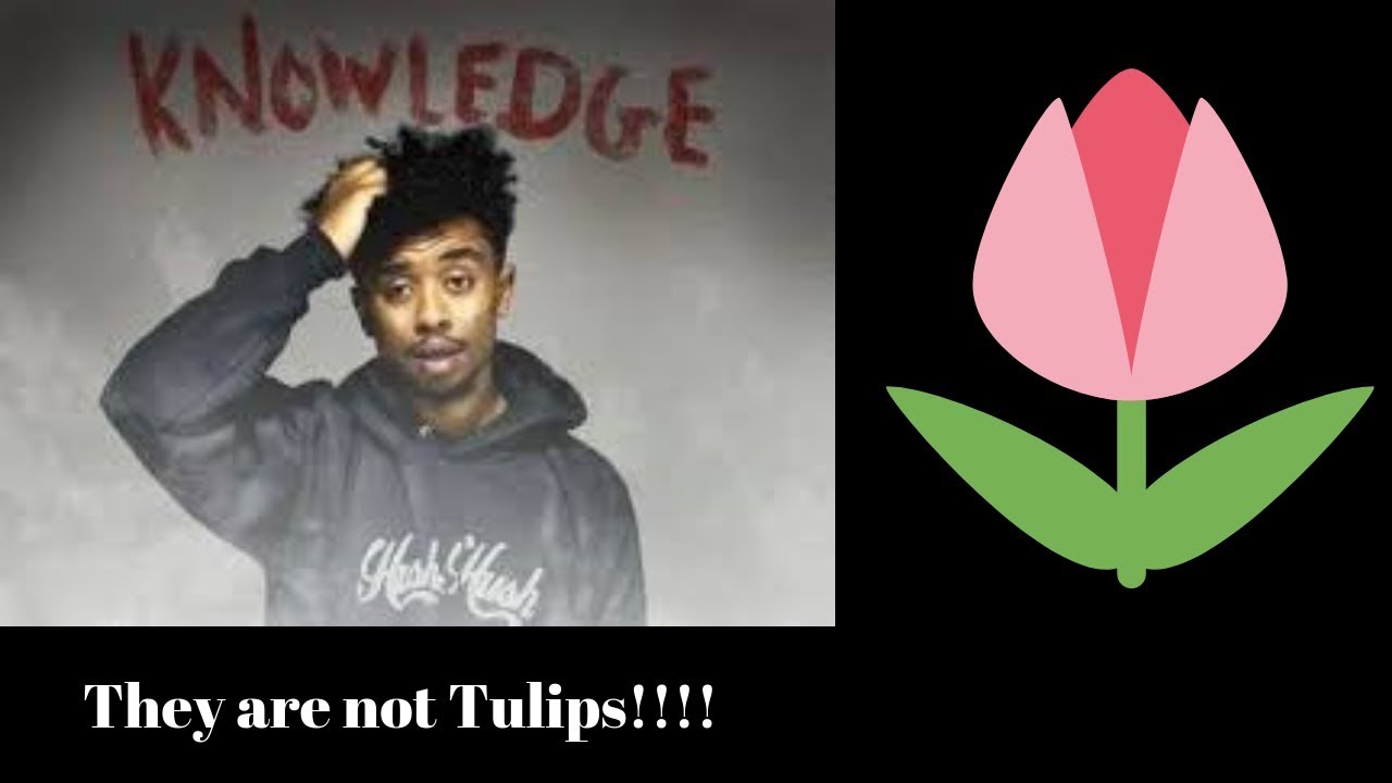 K.A.A.N - Flowers (Reaction)