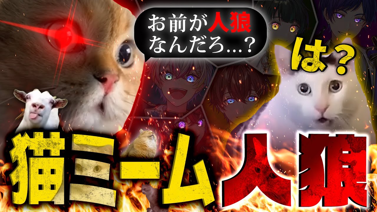 【猫ミーム】この中に、学生時代ﾁﾋﾟﾁｬﾊﾟﾄﾞｩﾋﾞﾀﾞﾊﾞしたヤツがいます…【すたぽら】