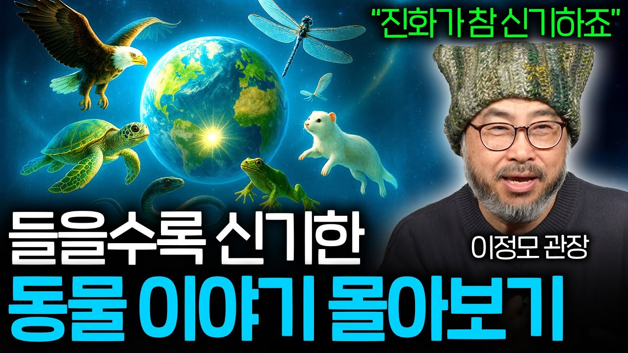 자기 전에 들으면 꿈속에서 동물 왕국을 떠나는 이야기들 (숙면 권장 ASMR 몰아보기) | 과학정모 몰아보기