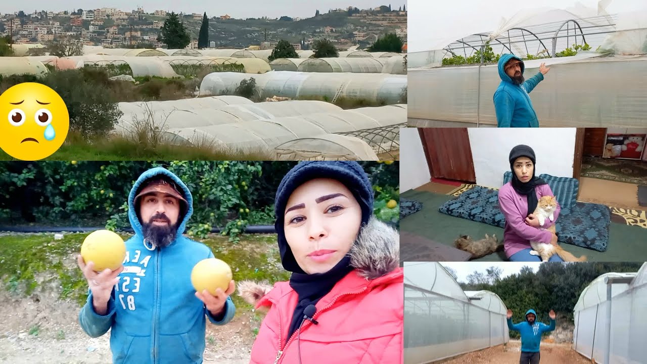 إعصار 😱قوية ضرب عنا بلبنان 🌪🥀🌱و ضررت كول خيم🤲 زراعة العالم 