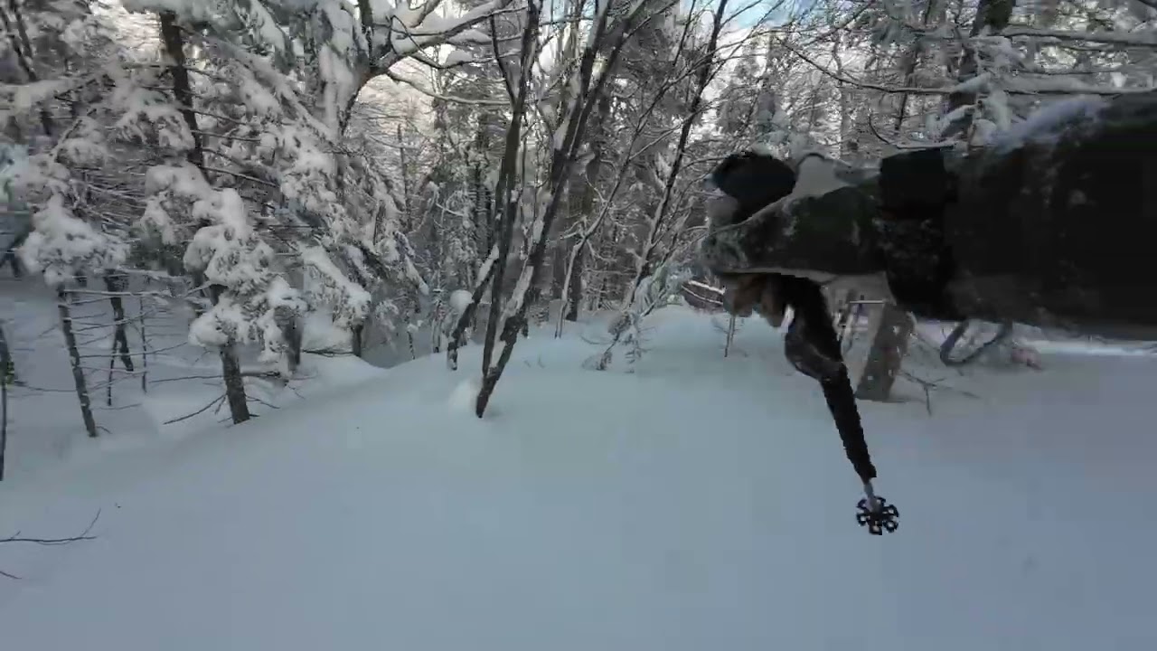 see your way through