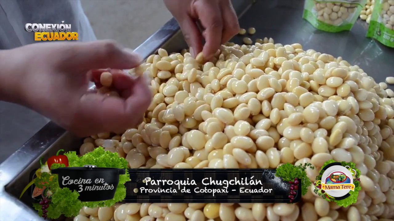 Chochos Mama Tere Ecuador