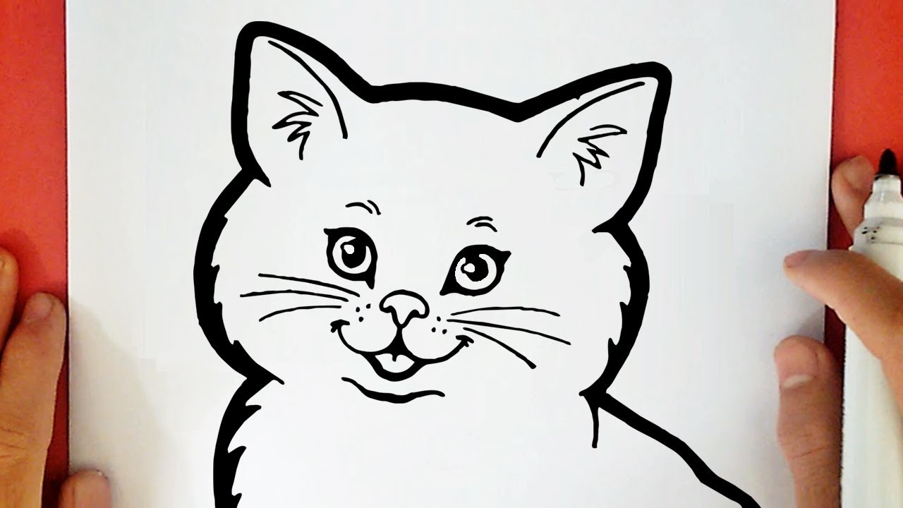 COMMENT DESSINER UN CHAT KAWAII