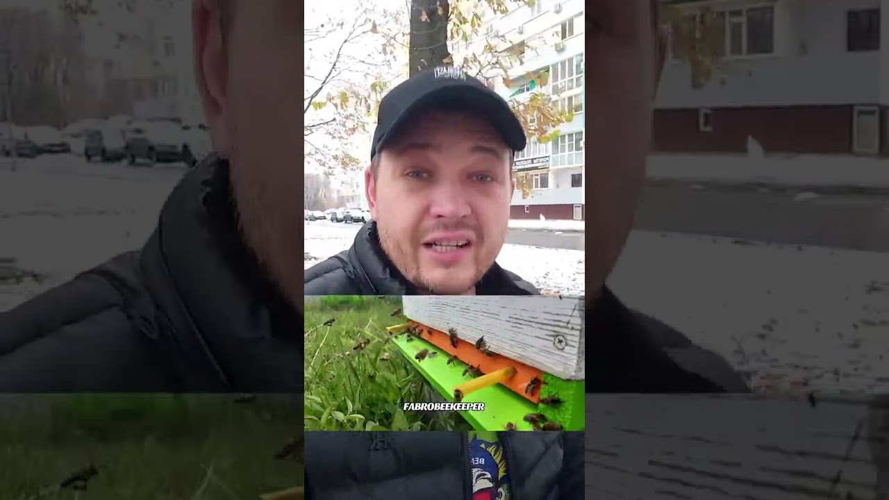 Перехід на донні пилкозбірники               #fabro #fabrobeekeeper