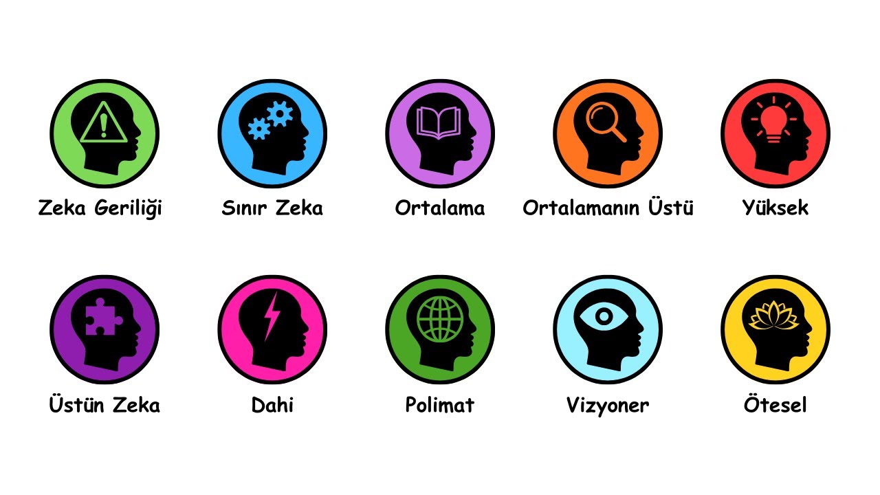 11 dakikada T&Uuml;M zeka seviyelerini anlatıyorum