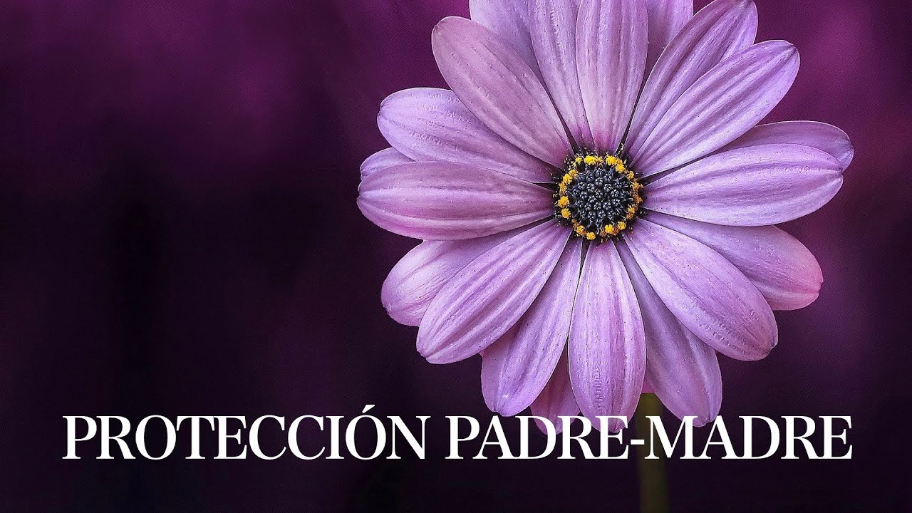 La Mejor Meditación para Dormir Profundamente con Protección Total