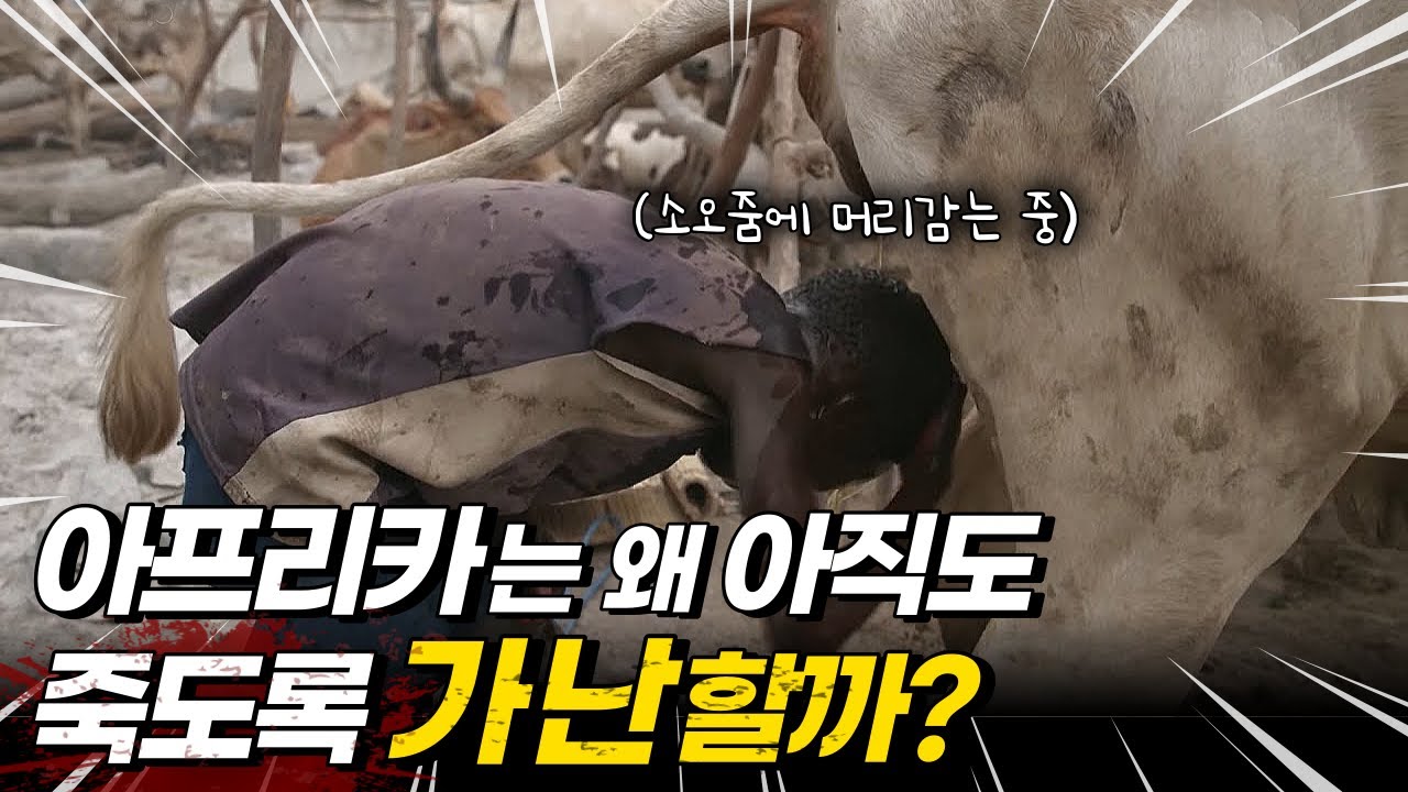 아프리카가 가난할 수 밖에 없는 진짜 이유!