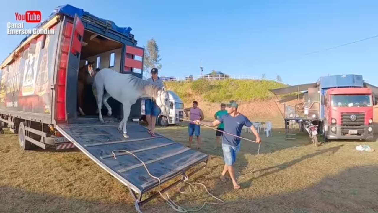 VAQUEJADA PARQUE ROBERTA URQUIZA Etapa PE PB 2020 -  (PARTE 01)