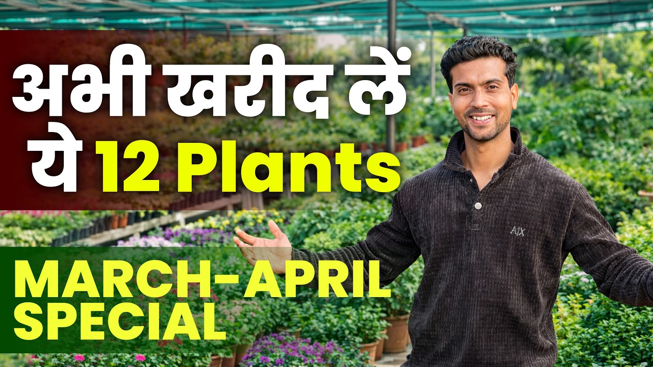 March-April Special 🌿 Ab Garden Ko Beautiful Banane Ka Sahi Time!