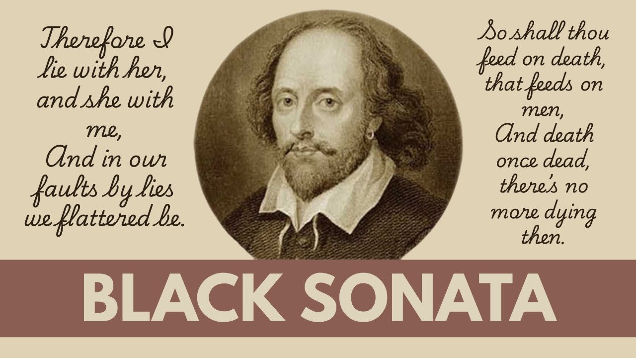 Black Sonata | Solo Board Game Tutorial and Playthrough