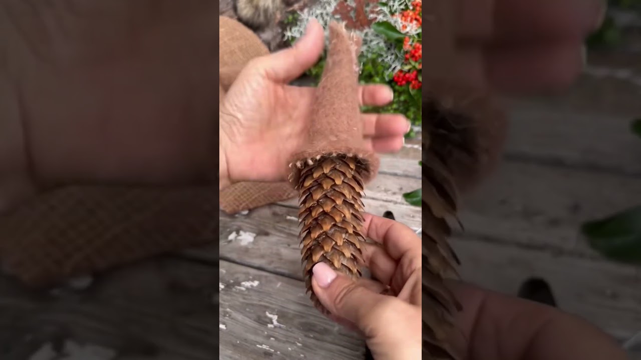 Diy Zapfenwicht 🍂 