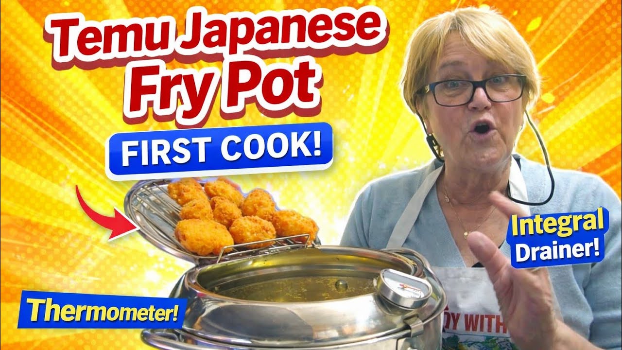 Temu Japanese Deep Fryer: First Cook & Honest Review 