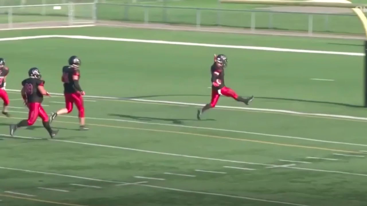 Peter Harris | Alberta Football League Highlights