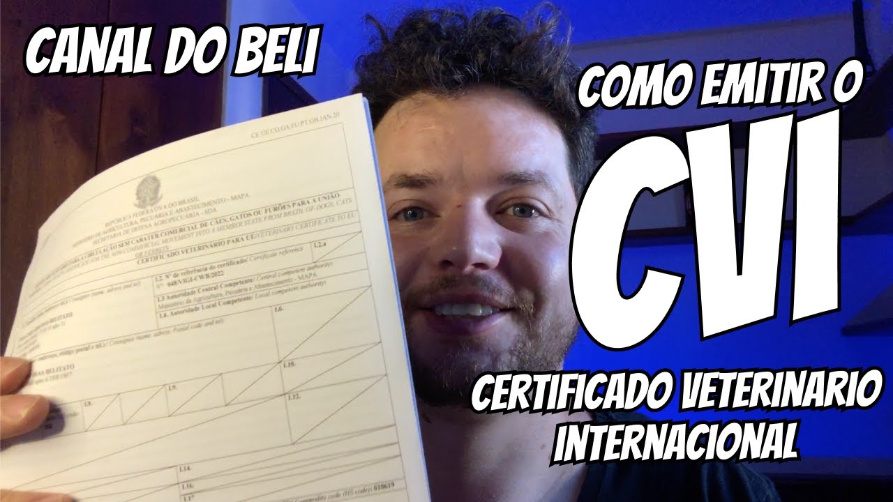 EMITINDO O CVI NA VIGIAGRO | MEU PET NA IRLANDA 03