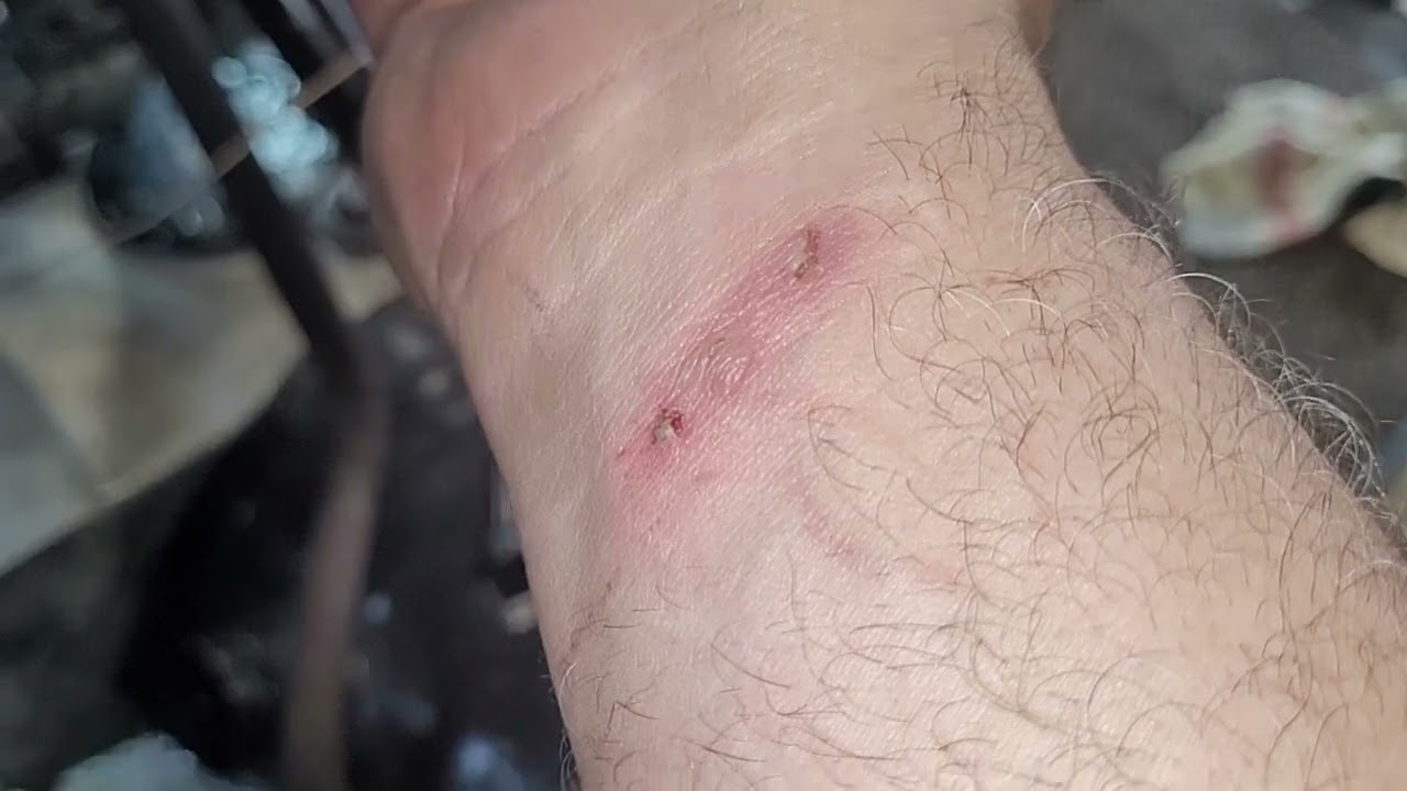 Tatra s novým hlavným ložiskom