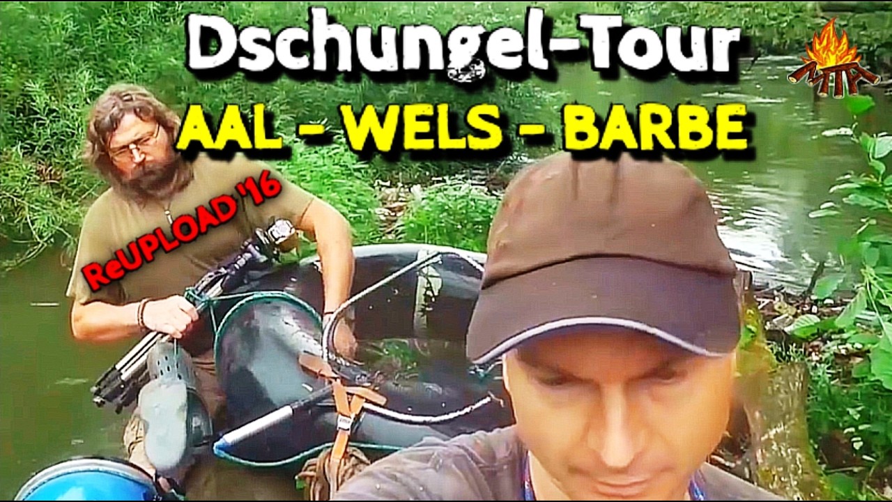ANGELN auf Aal Wels Barbe | Wildnistour Deutschland