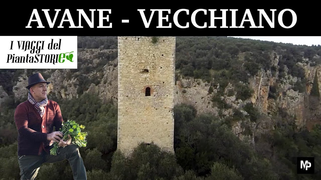 Terzo viaggio del Piantastorie   Avane