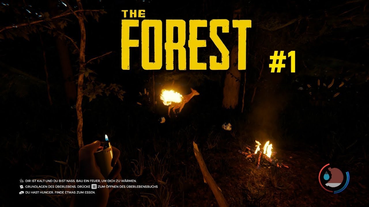 THE FOREST ╠ Let´s play ╣ #1╠ Diese Wilden werden mich kennen lernen