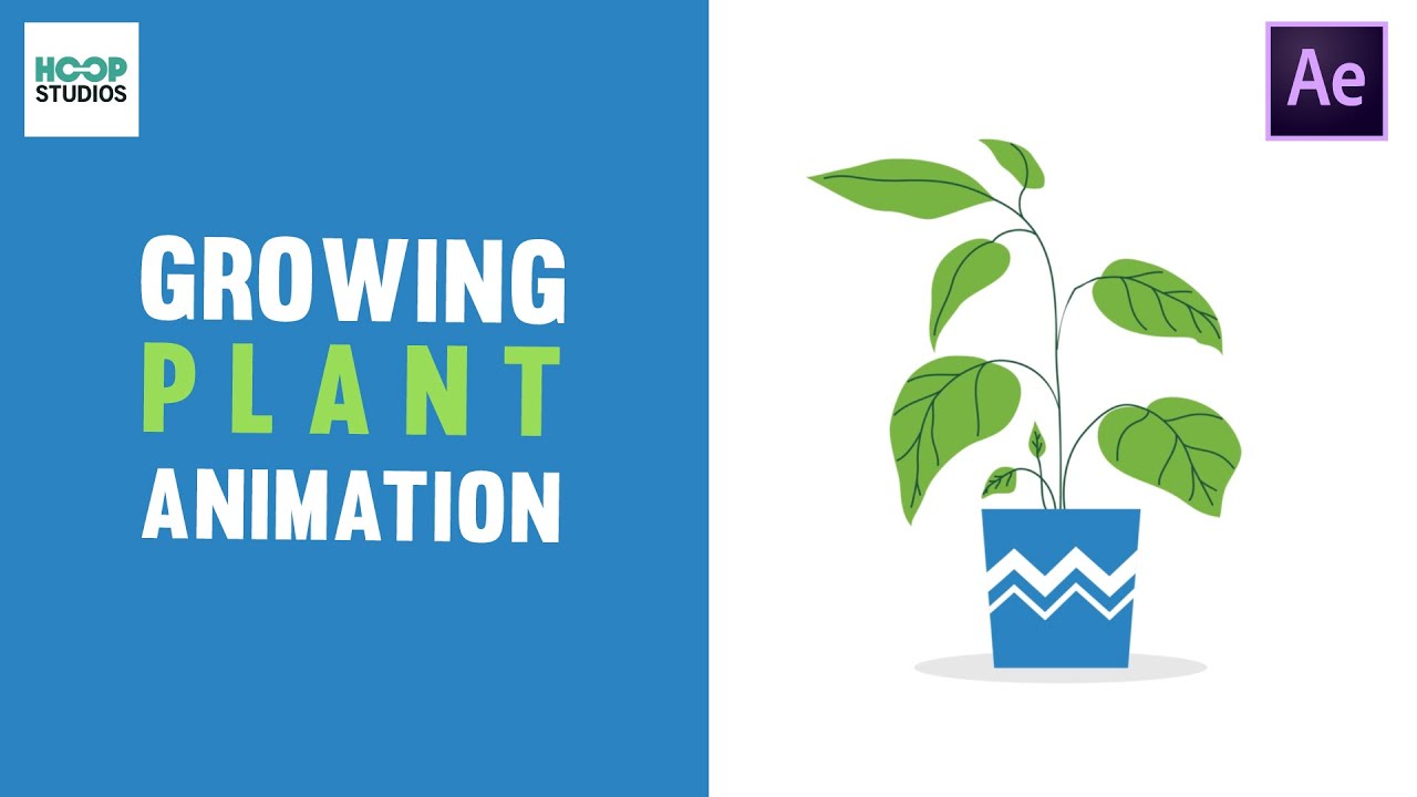 Growing Plant Animation | After Effects Tutorial