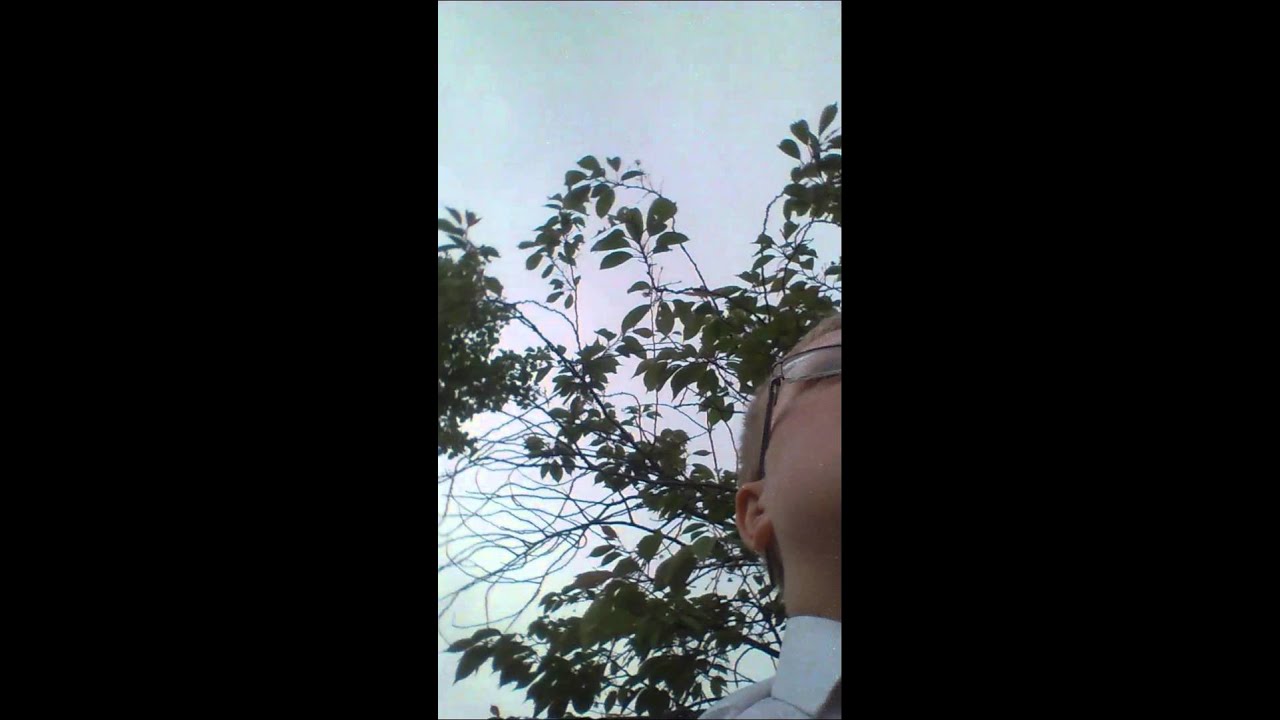 Welcome to TheBoringBrit