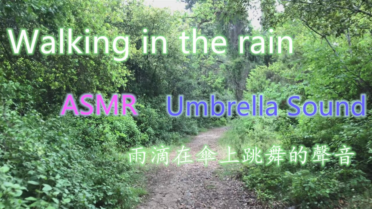 4k Relaxing forest rain walk|Rain on Umbrella Sound|ASMR|撐傘雨中漫步森林|雨打在傘上的聲音|放鬆身心靈