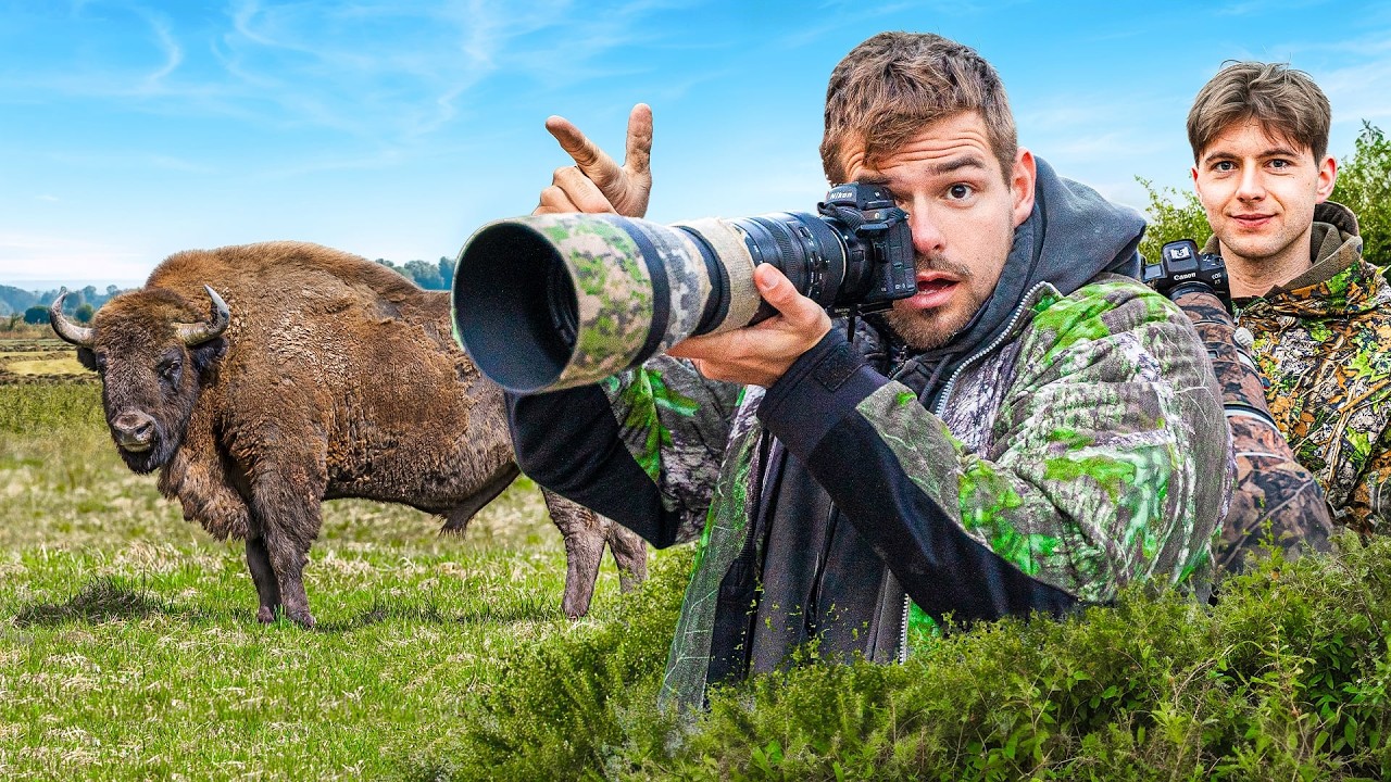 24h jako FOTOGRAF DZIKIEJ PRZYRODY