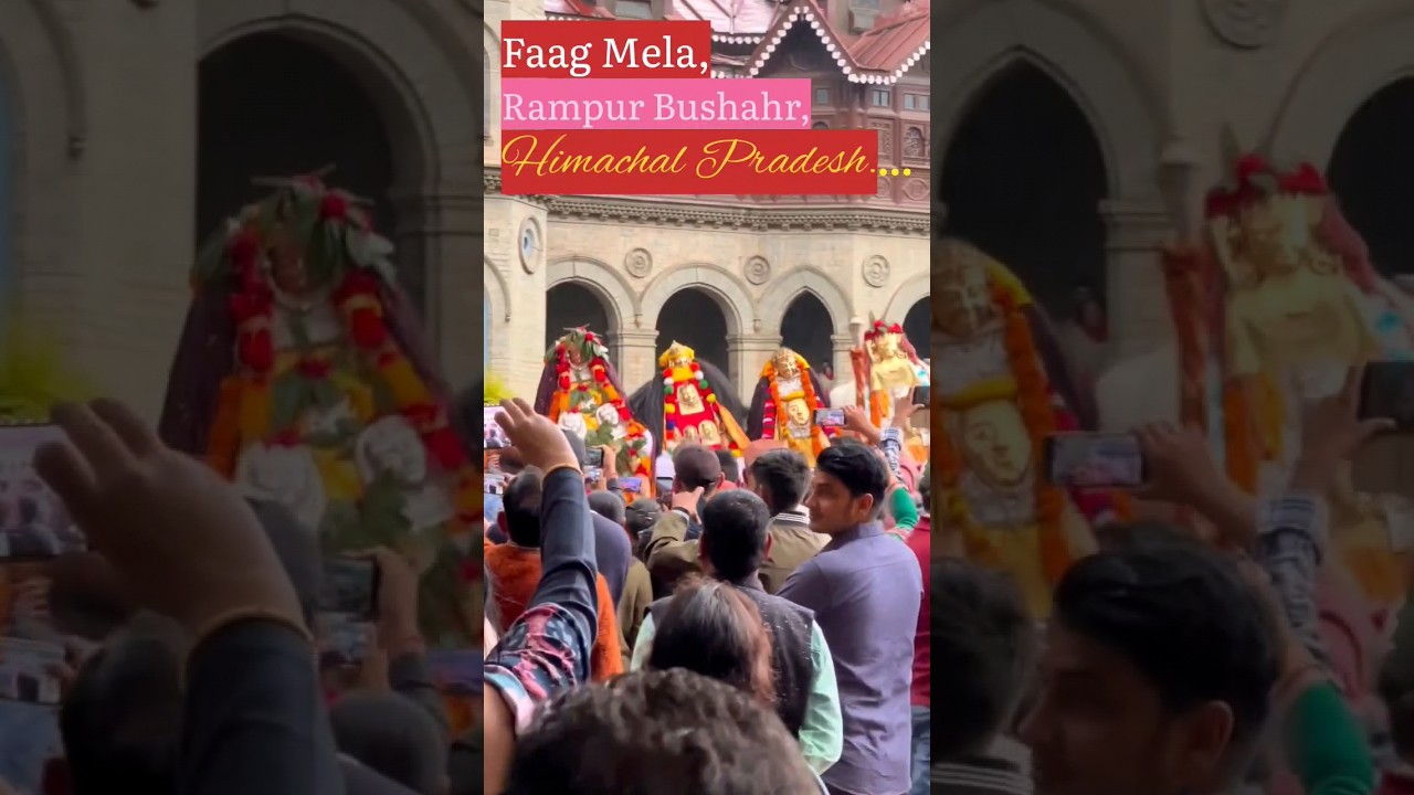 Faag Fair 🔥❤🙏 #faag #rampurbushahr #folkdance #himachal #shimla #culture #unesco #india #devbhumi