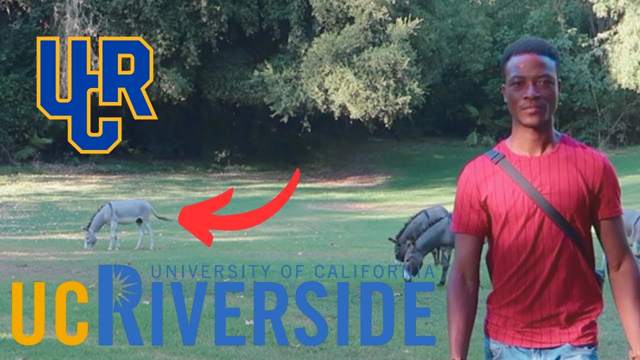 I went to the University of California, Riverside