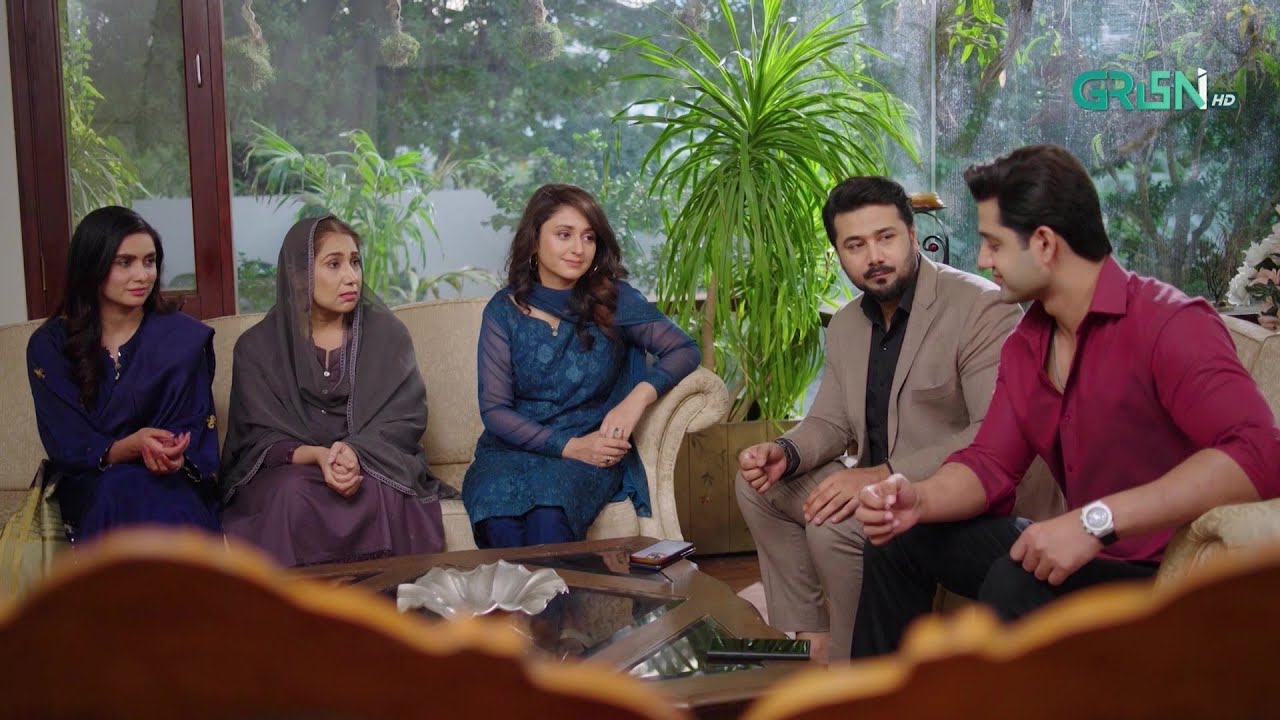 Aik Sath Itni Ziada Khushkhabri Mil Gayi..! #aikbhool #aliabbas #saniyasamshad #greentvdramas