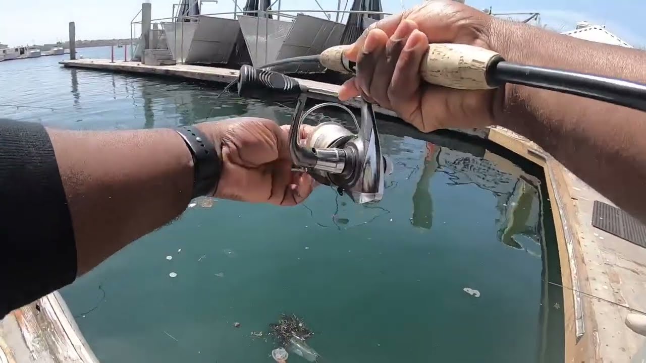 Marina Del Ray Fishing