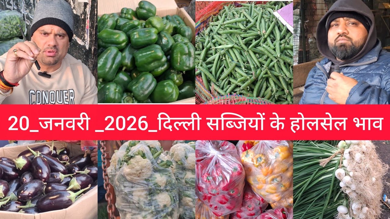 January 20, 2026 दिल्ली सब्जियों के भाव delhi vegetables market delhi fruit market #vegetables,