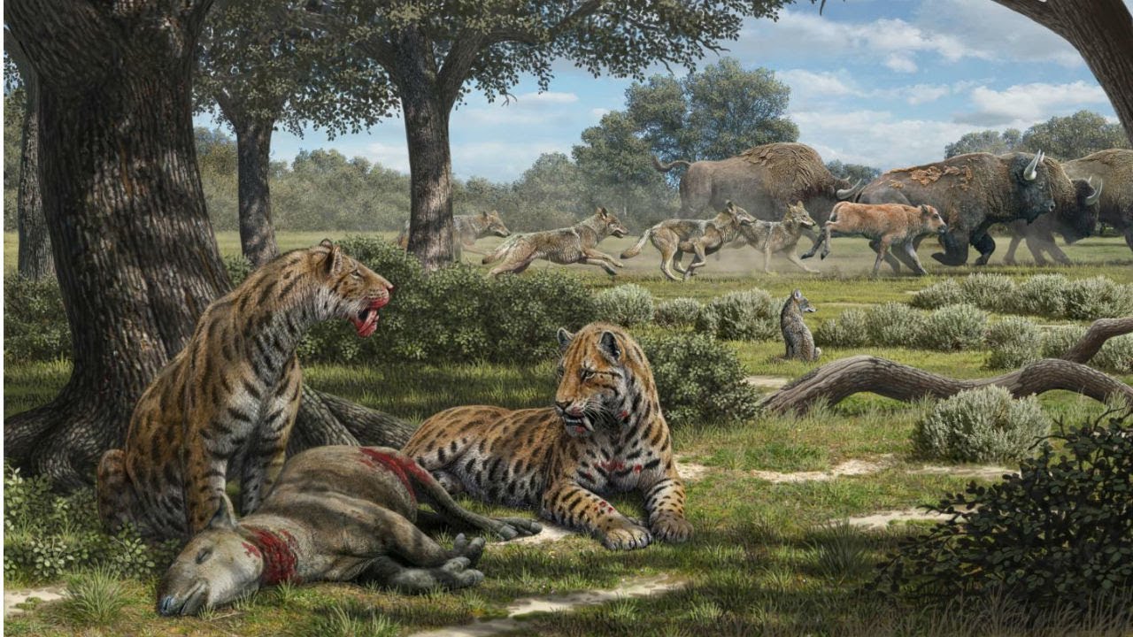 Smilodon Sound Effects Vol 3