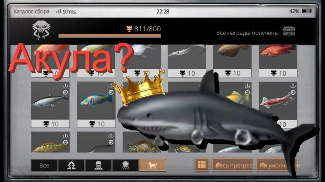Как поймать всю королевскую рыбу? Акула, Арована, Карп кои.