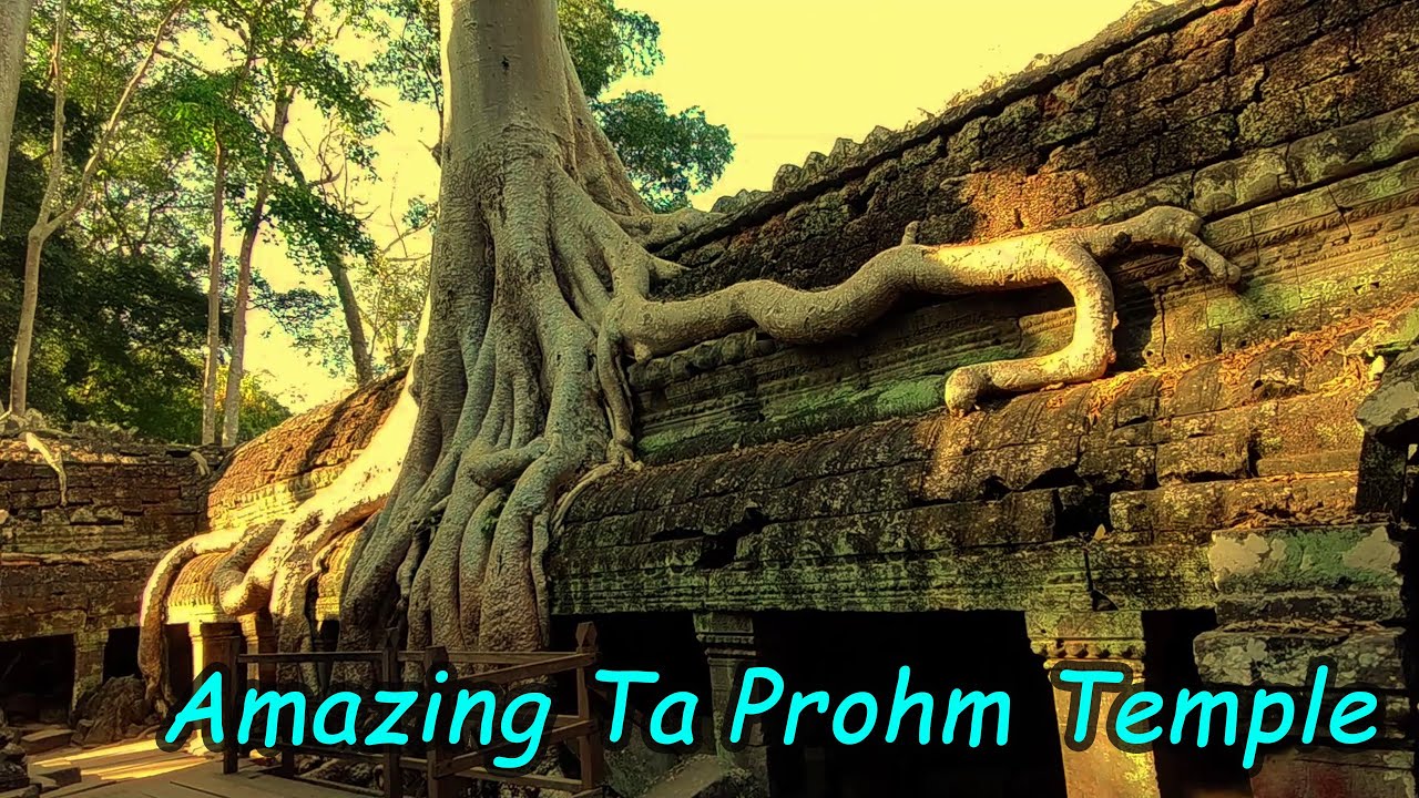 Nature vs History The Incredible Ta Prohm Temple  Cambodia’s Jungle Ruins