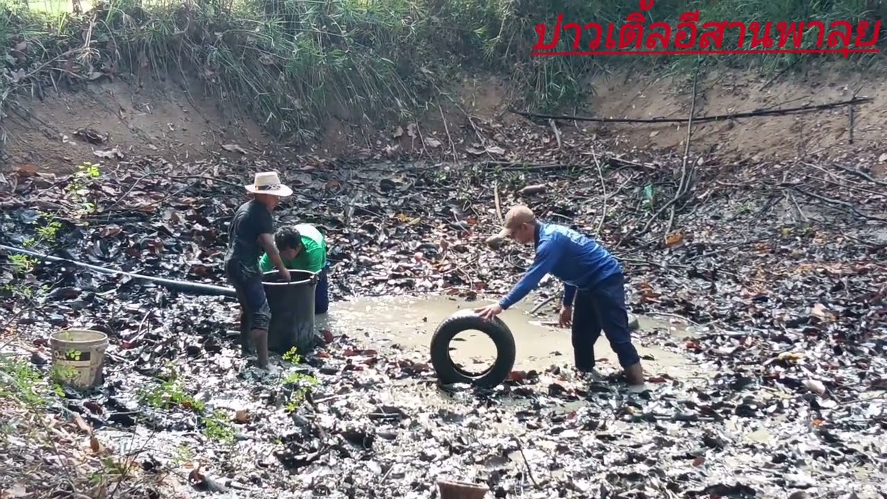 EP.12 ไปสูบสระเอาปลาครับมีแต่ปลาตัวใหญ่ๆ/วันปีใหม่ครับ