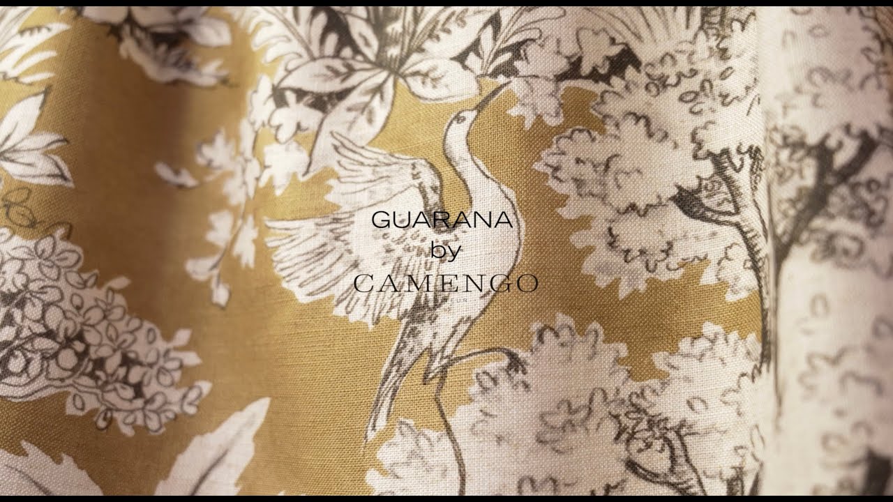 CAMENGO-Univers GUARANA-2025-01
