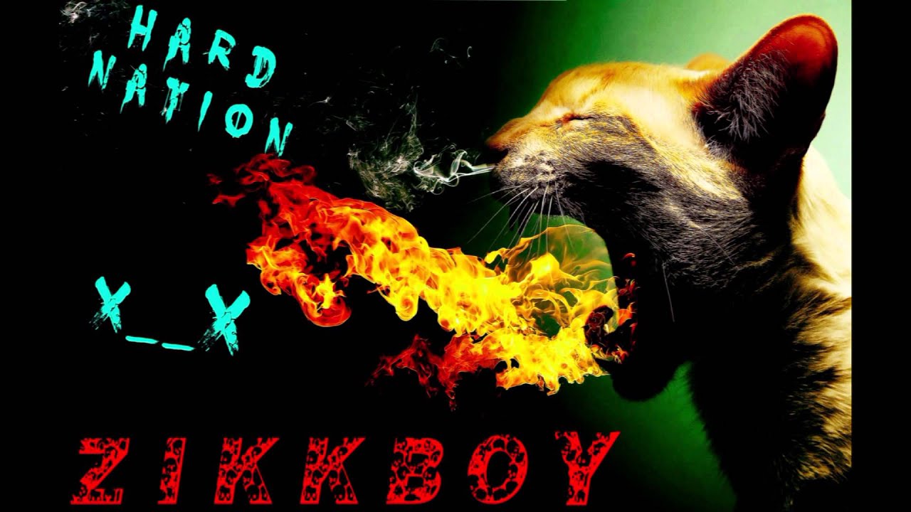 ZIKKBOY - HARD NATION VOL 1