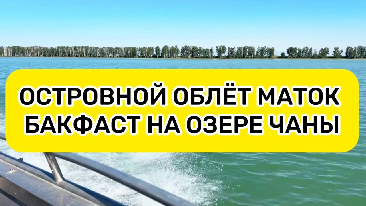 Островной облёт маток Бакфаст на озере Чаны
