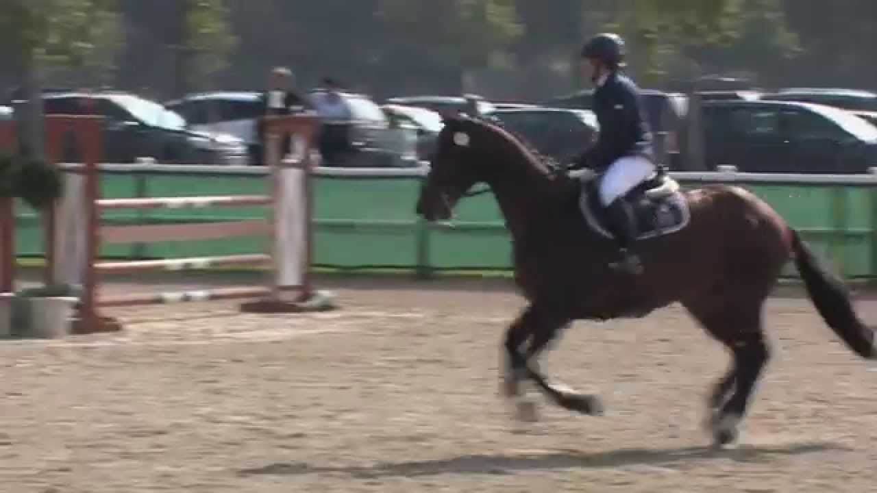 Dobretsberger, Charlotte und Larifari 2 Big Tour Vienna Masters 2014...