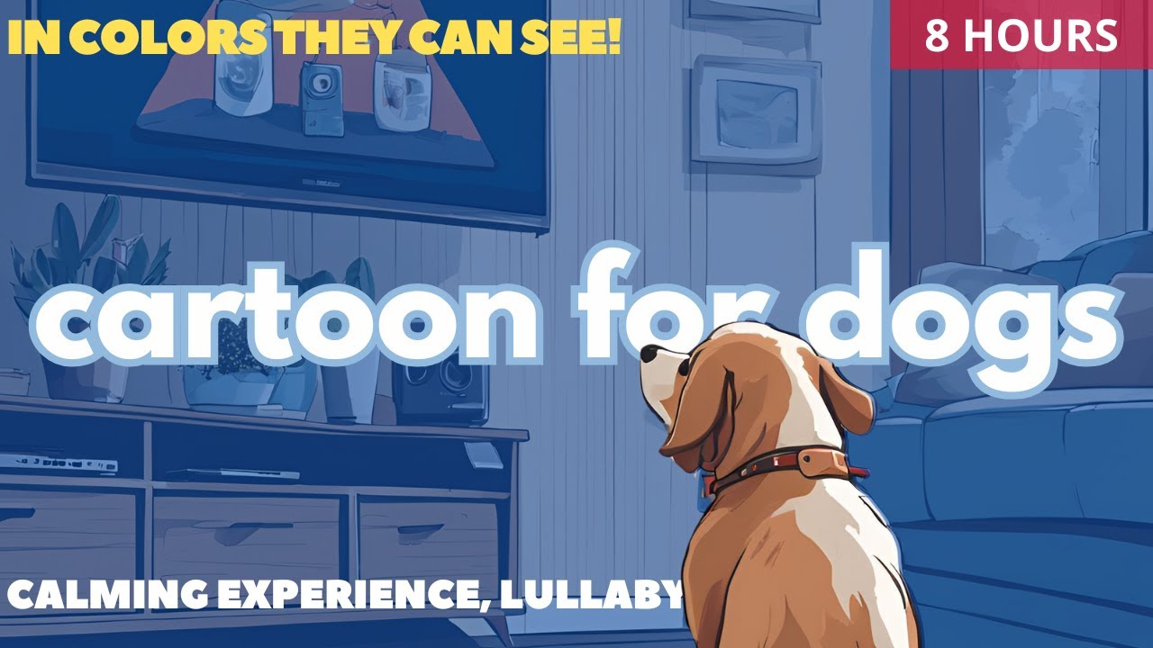 Cartoons TV for Dogs to Watch, 8 Hours | Colors they can see! Stress & Anxiety Relief Music, Lullaby