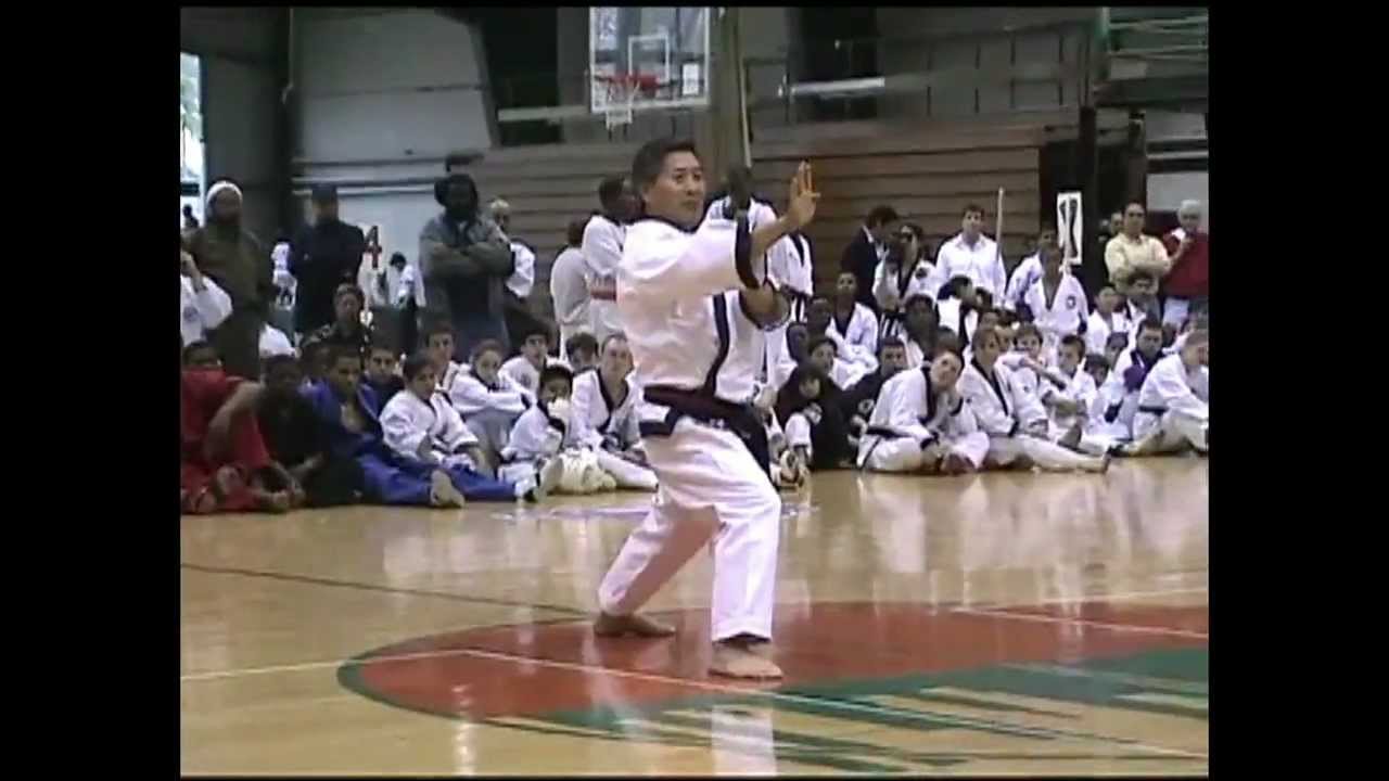The Storm of Tang Soo Do